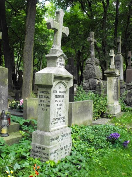 Zdjęcie grobu Edward Lewandowski (2)