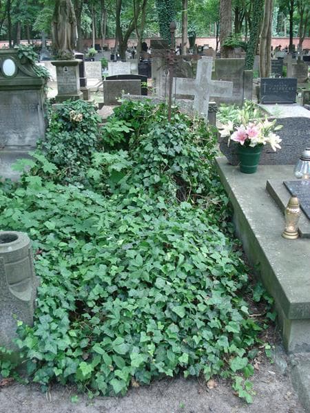 Zdjęcie grobu: Ludwik Olszewski