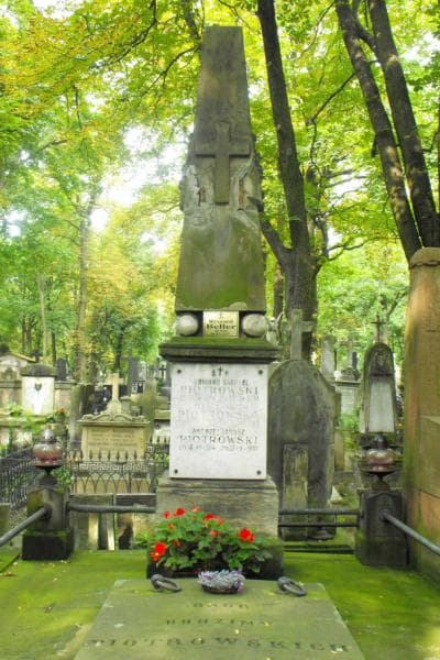 Zdjęcie grobu Edward Gabryel Piotrowski (1)