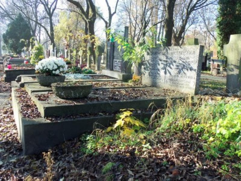 Zdjęcie grobu Czesław Wrzesiński (1)