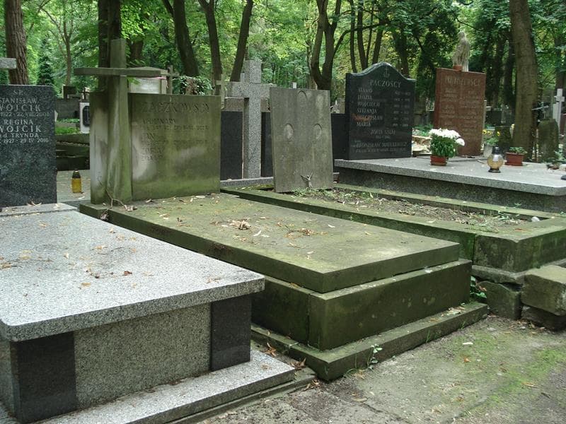 Zdjęcie grobu Apolinary Czaczkowski (1)