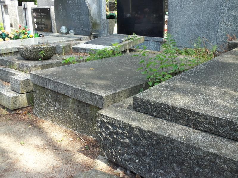 Zdjęcie grobu Włodzimierz Goldman (2)