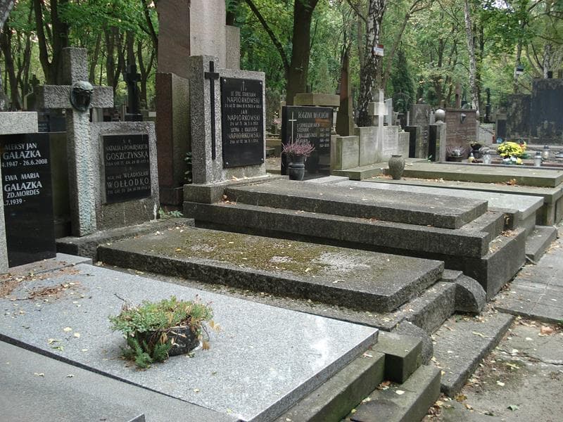 Zdjęcie grobu: Natalia Goszczyńska