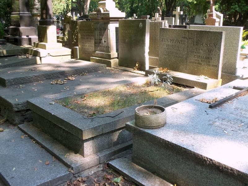 Zdjęcie grobu: Teodor Auch