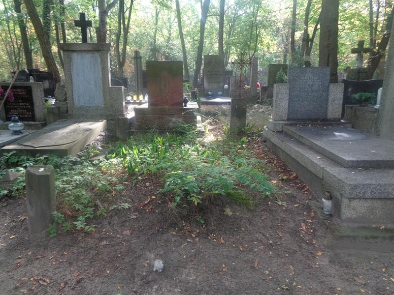 Zdjęcie grobu: Pole Grobowe