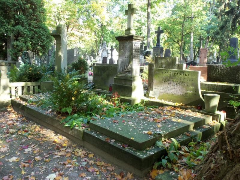 Zdjęcie grobu Edward Janiszewski (1)