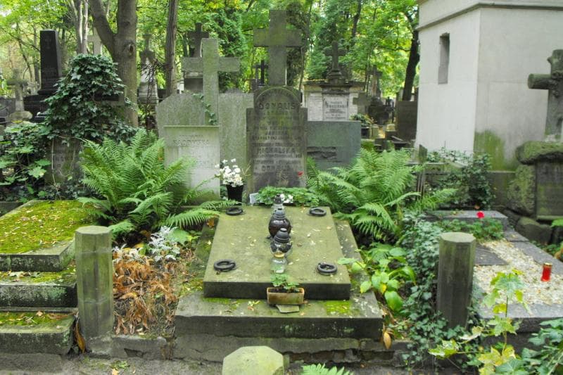 Zdjęcie grobu: Wacio Donalis