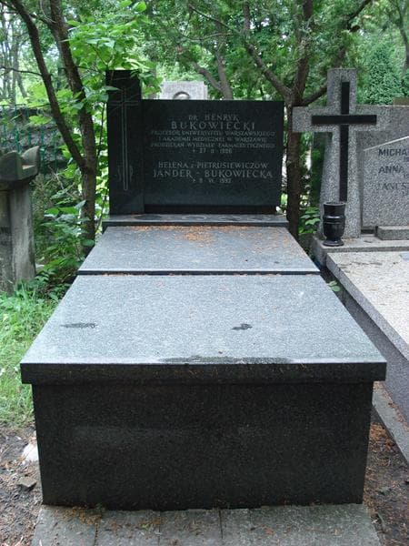 Zdjęcie grobu Henryk Bukowiecki (1)
