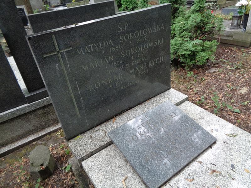 Zdjęcie grobu Konrad Wantrych (2)