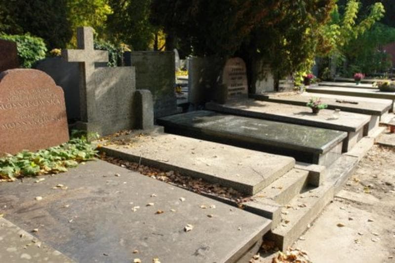Zdjęcie grobu Stanisława Zatrybowska (1)