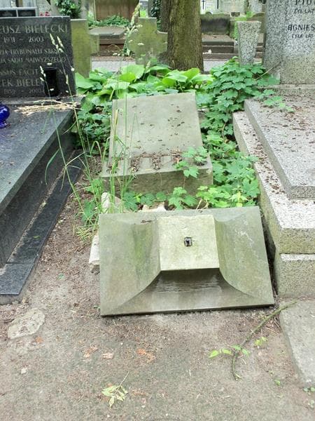 Zdjęcie grobu: Rozalja Burzyńska