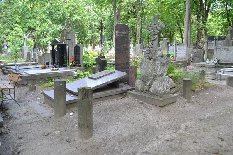 Zdjęcie grobu: Władysław Gorowicz