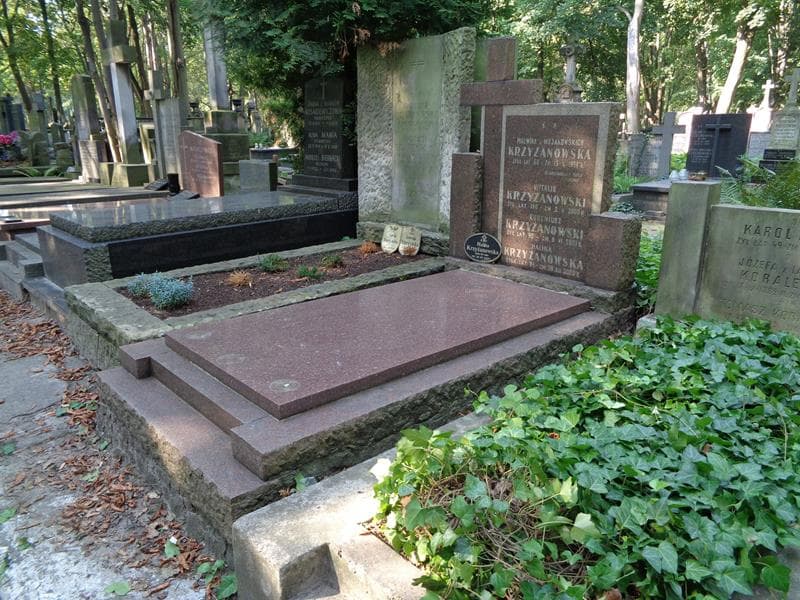 Zdjęcie grobu: Halina Krzyżanowska