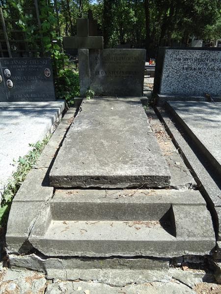 Zdjęcie grobu: Leon Sieczkowski