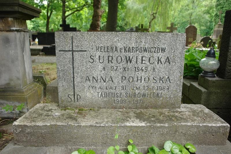 Zdjęcie grobu Anna Pohoska (2)