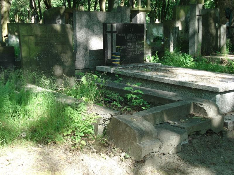 Zdjęcie grobu Józef Babiński (1)