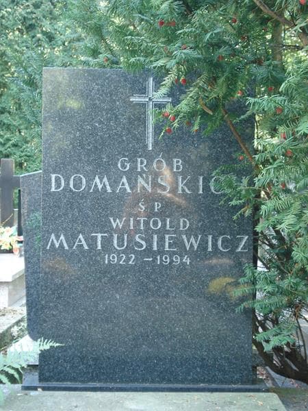 Zdjęcie grobu Bronisław Domański (2)