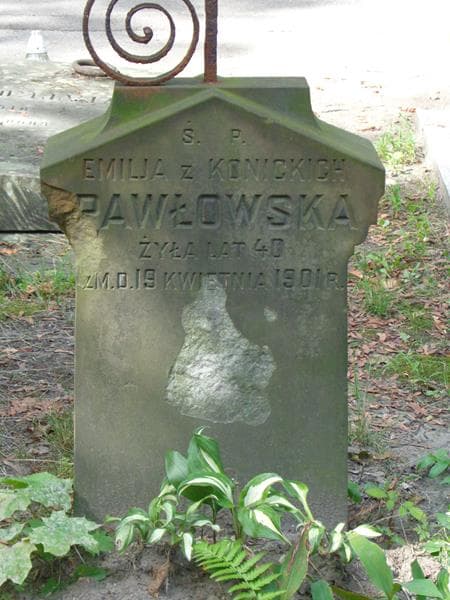 Zdjęcie grobu Emilja Pawłowska (2)