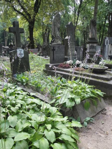 Zdjęcie grobu Jerzy Błaszkiewicz (1)