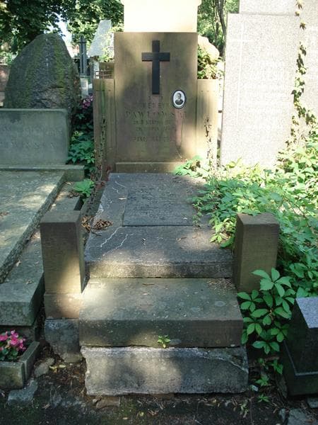 Zdjęcie grobu Stanisław Janeczek (1)