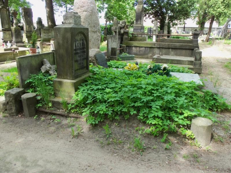 Zdjęcie grobu Zofia Lebel (1)