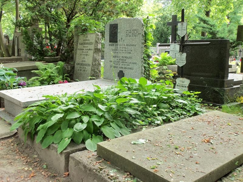 Zdjęcie grobu Hanna Adamowicz (1)