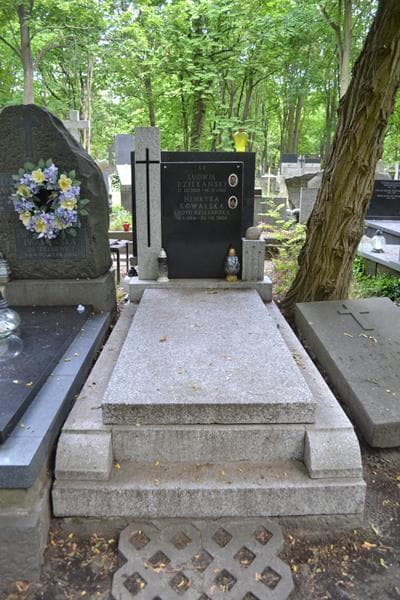 Zdjęcie grobu Ludwik Dziekański (1)