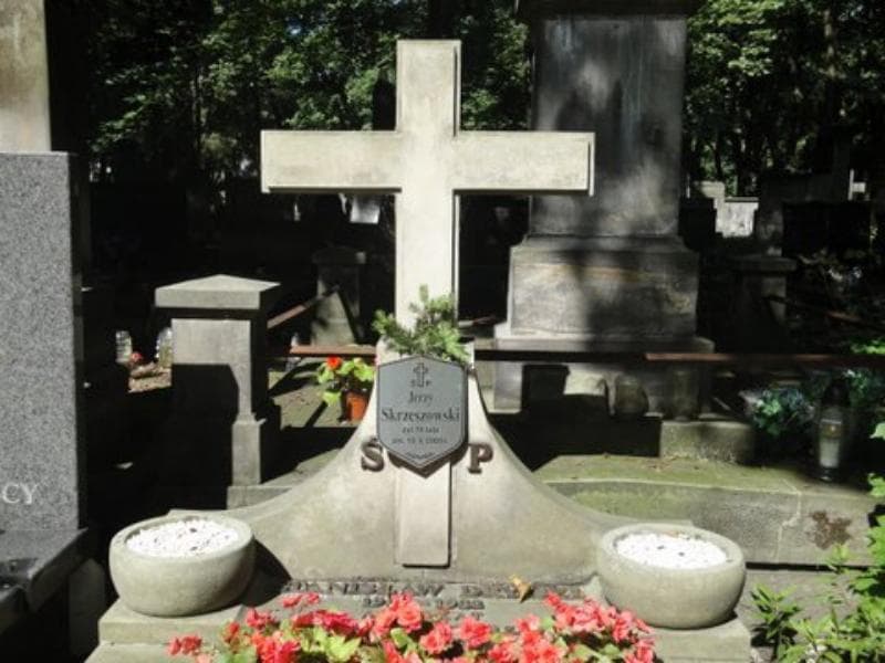 Zdjęcie grobu Zofia Dryjska (2)