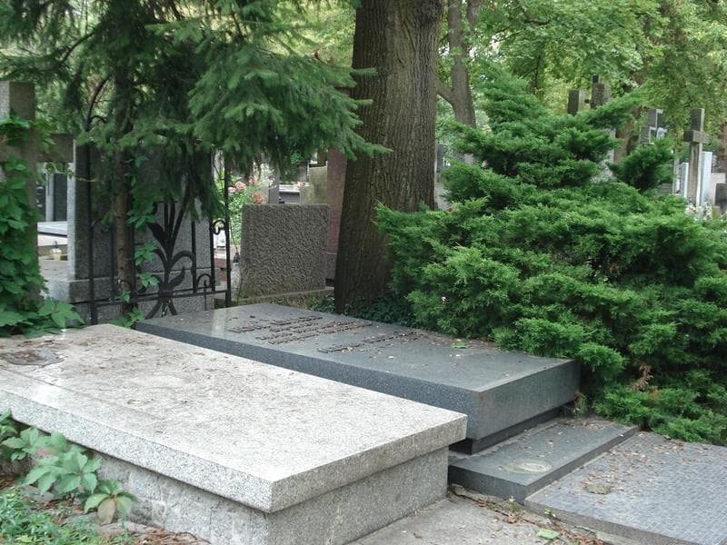 Zdjęcie grobu Piotr Lewicki (1)