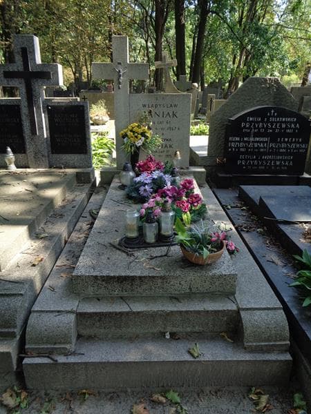 Zdjęcie grobu Władysław Janiak (1)