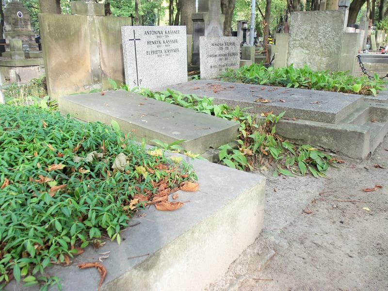 Zdjęcie grobu Pola Marendowska (1)