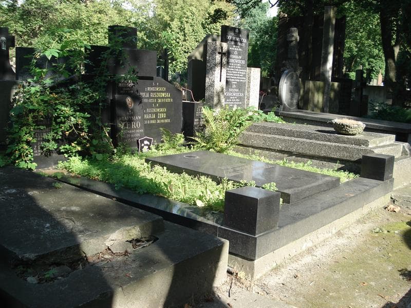 Zdjęcie grobu Wiktor Hellwig (1)