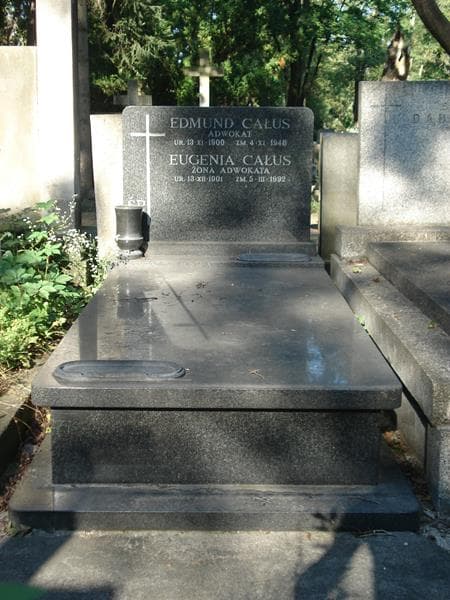 Zdjęcie grobu: Eugenia Całus