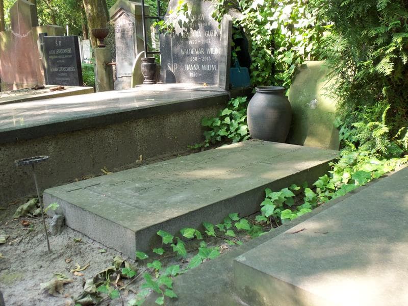 Zdjęcie grobu Władysław Ciechanowski (1)