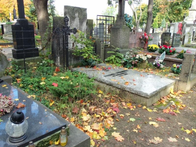 Zdjęcie grobu Stefania Michalska (1)