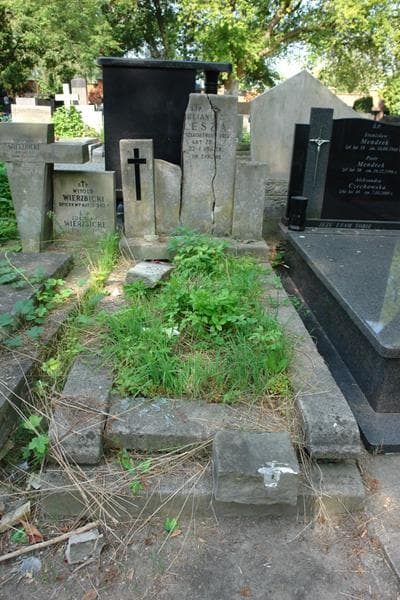 Zdjęcie grobu Julian Kulesza (1)