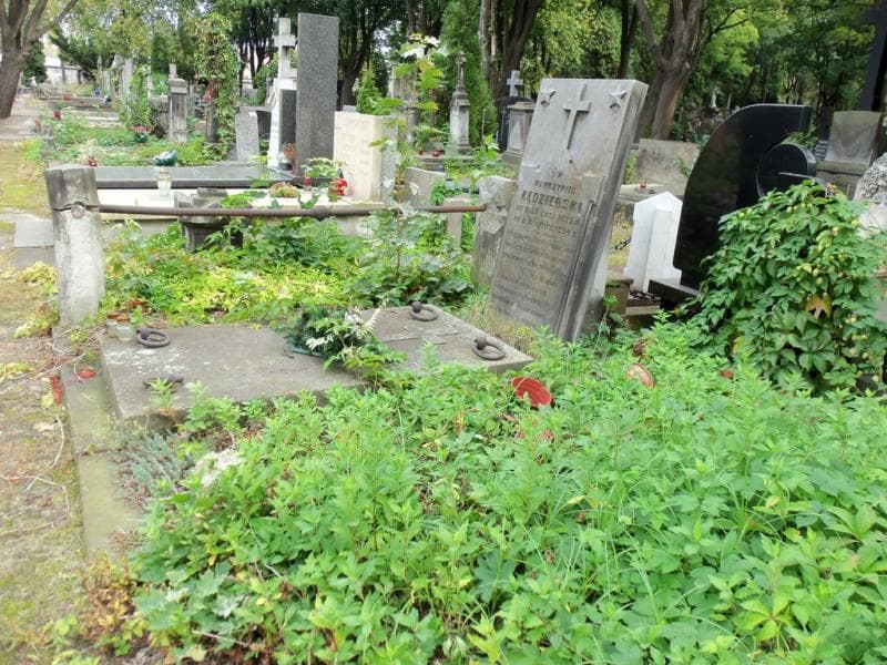 Zdjęcie grobu Wawrzyniec Kędzierski (1)