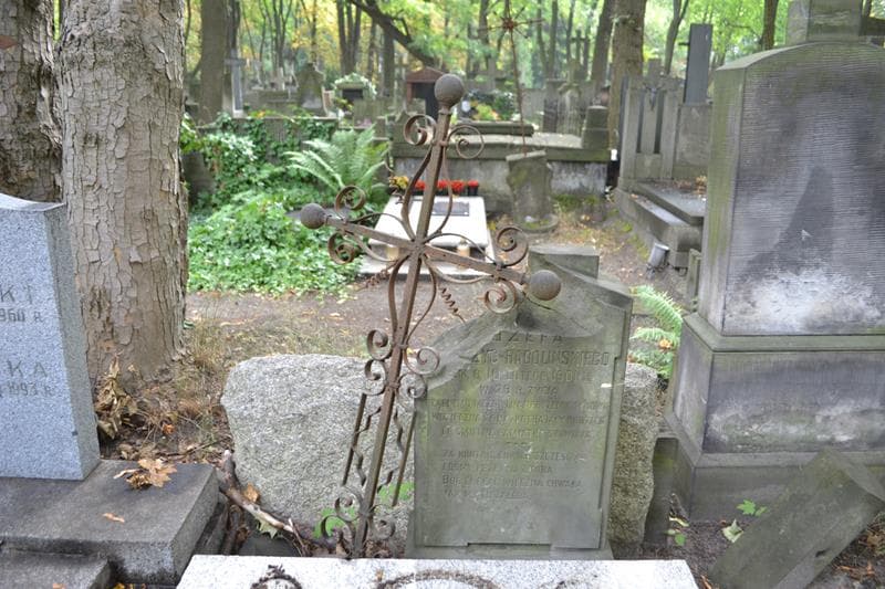 Zdjęcie grobu Józef Leszczyc-Radoliński (2)