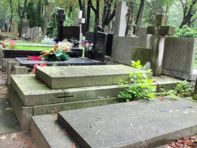 Zdjęcie grobu Stanisław Kurtz (1)