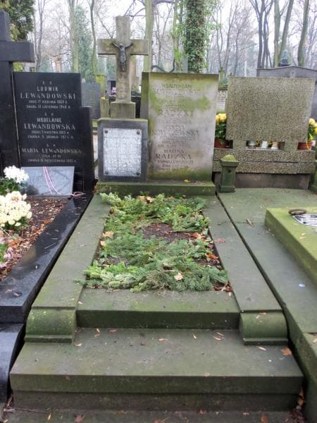 Zdjęcie grobu: Henryka Leperowska