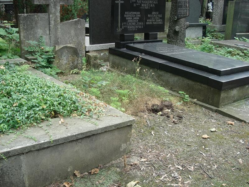 Zdjęcie grobu Juljan Żółtowski (1)
