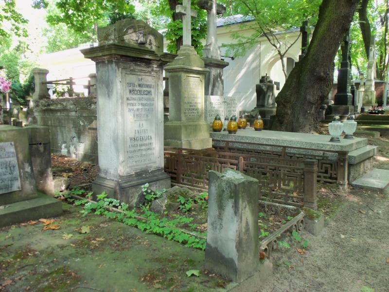 Zdjęcie grobu Onufry Wścieklica (1)