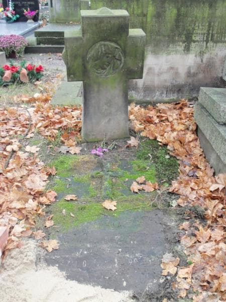 Zdjęcie grobu Zofja Lipińska (2)