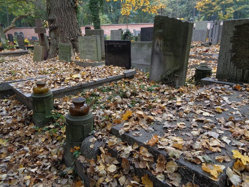 Zdjęcie grobu: Teodora Peterkowska