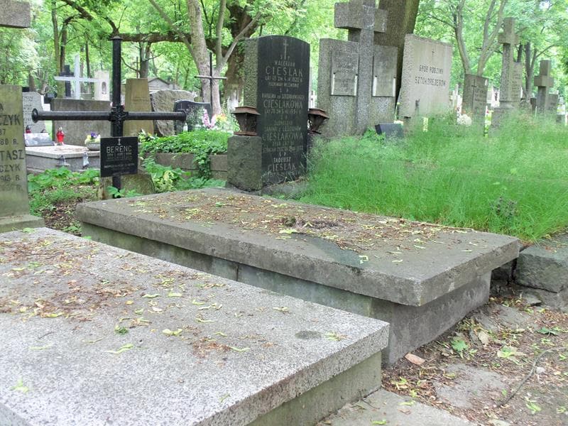 Zdjęcie grobu Irena Berenc (1)