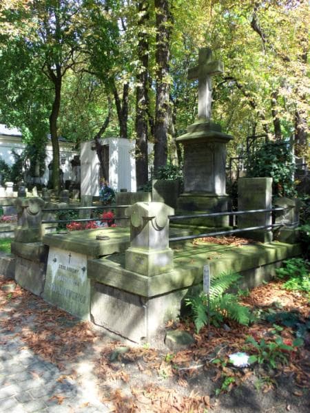 Zdjęcie grobu Maciuś Strzałkowski (1)