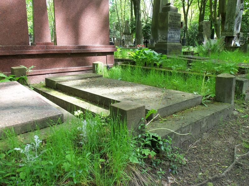 Zdjęcie grobu Jerzy Daszewski (1)