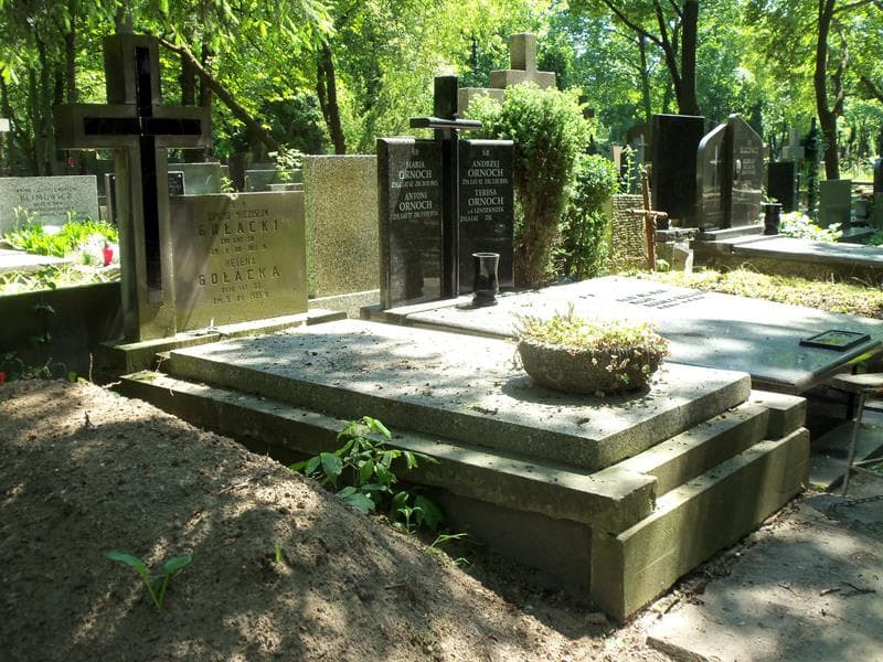 Zdjęcie grobu Edward Mieczysław Gołacki (1)