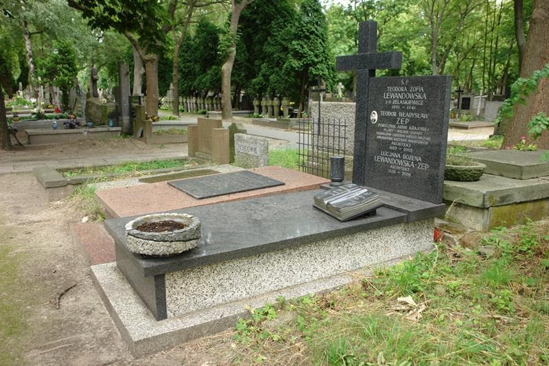 Zdjęcie grobu: Lucjana Bożena Lewandowska-Zep