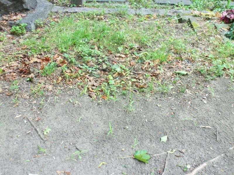 Zdjęcie grobu Pole Grobowe (1)